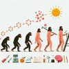 進化論とは何か?定義や影響、宗教との関係などわかりやすく解説! - 日本一のブログ